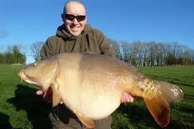 detoate - images-34.jpg